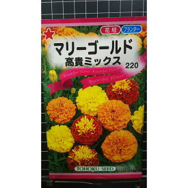 マリーゴールド 高貴 ミックス 種 種子 トーホク