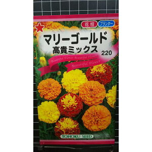 }[S[h M ~bNX  q g[zN