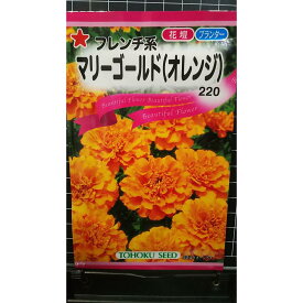 マリーゴールド フレンチ系 オレンジ 種 種子 トーホク