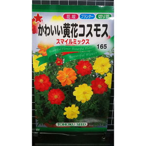 킢  RXX X}C~bNX H  q g[zN