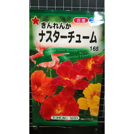 ナスターチューム きんれんか 種 種子 トーホク