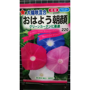 ֌n ͂悤   O[J[e   q g[zN