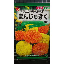 まんじゅぎく アフリカン マリーゴールド 万寿菊 種 種子 トーホク