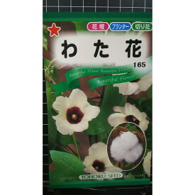 わた花 綿 ワタ 種 種子 トーホク