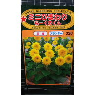 ミニ ひまわり ちーくまくん 向日葵 種 種子 トーホク