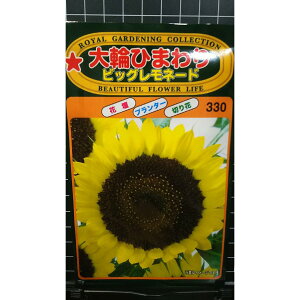  Ђ܂ rbO l[h   q g[zN