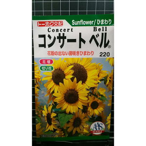 RT[gx [ Ђ܂   q g[zN