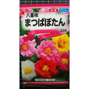 d ܂΂ڂ tO  q g[zN