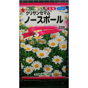 m[X|[ NTZ} m[X{[  q g[zN