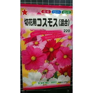 ؉ԗp RXX  H  q g[zN