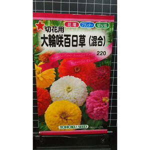 ֍ S ؉ԗp  WjA  q g[zN