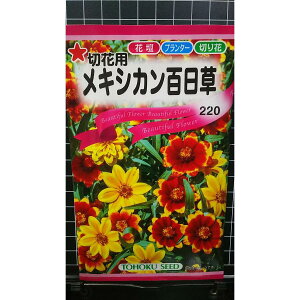 LVJ S ؉ԗp WjA  q g[zN