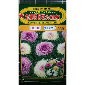 ۗt ͂ڂ  ۃ~bNX tO  q g[zN