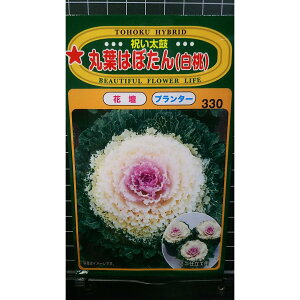 ۗt ͂ڂ  j tO  q g[zN