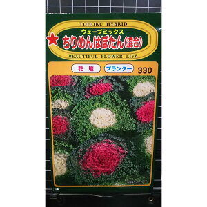 ߂ ͂ڂ  EF[u~bNX k tO  q g[zN