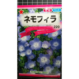 ネモフィラ インシグニス ブルー 種 種子 トーホク