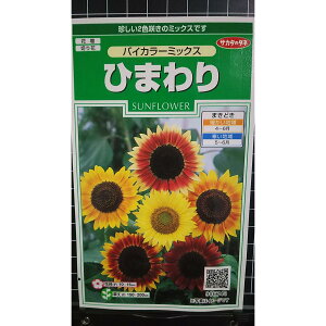 Ђ܂ oCJ[ ~bNX   X q TJ^̃^l