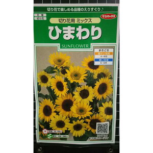 Ђ܂ ؂ԗp ؉ ~bNX   X q TJ^̃^l