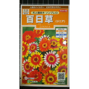 S Vle炫 \u oCJ[ WjA qNj`\E  X q TJ^̃^l