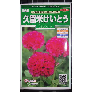 �v���� �����Ƃ� �A�[���[ ���[�Y �� �X�� ��q �T�J�^�̃^�l