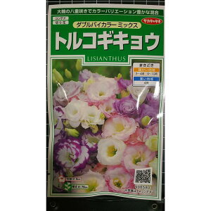 �g���R�M�L���E �_�u�� �o�C�J���[ �g���R �L�L���E �j�[ �� ��q �T�J�^�̃^�l