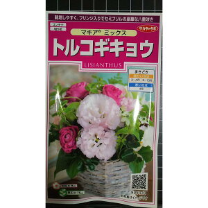 �g���R�M�L���E �}�L�A �g���R �L�L���E �j�[ �� ��q �T�J�^�̃^�l