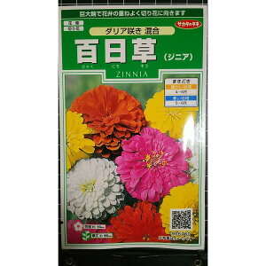 �S���� �_���A�炫 �W�j�A �q���N�j�`�\�E �� ��q �T�J�^�̃^�l