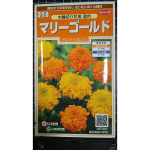 �}���[�S�[���h ��� �؂�� �܂񂶂ガ�� �����e �� ��q �T�J�^�̃^�l �X�� �T�J�^ ���� �� sakata �T�J�^��c seed