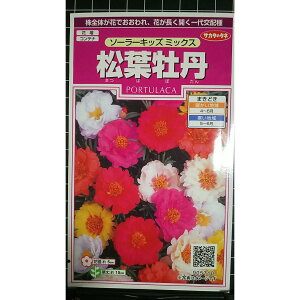 ���t���O �\�[���[�L�b�Y �܂΂ڂ��� �� ��q �T�J�^�̃^�l