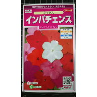 インパテェンス ミックス 種 郵便 種子 サカタのタネ
