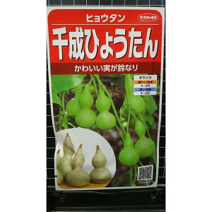 琬 Ђ傤 Zi  q TJ^̃^l