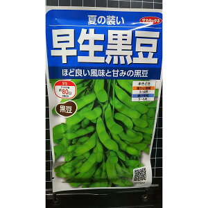   Ă̑ G_} }  q TJ^̃^l