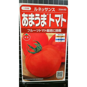 ܂ g}g lbTX t[cg}g  q TJ^̃^l