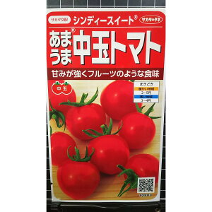  g}g VfB XC[g ܂ t[c ̂悤ȐH  q TJ^̃^l