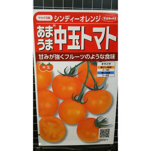  g}g VfB IW ܂ t[c ̂悤ȐH  q TJ^̃^l