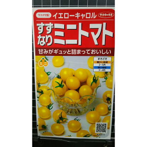 F ~jg}g CG[L g}g  q TJ^̃^l