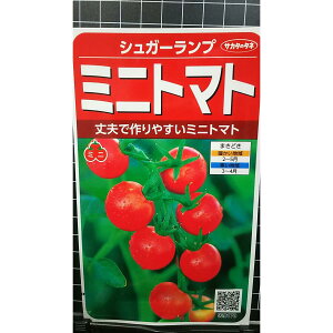 ~jg}g VK[ v ~j g}g  q TJ^̃^l