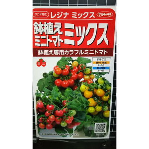 A ~j g}g Wi ~bNX ~jg}g  q TJ^̃^l