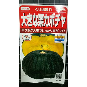 傫 I J{` ق܂ Z  q TJ^̃^l