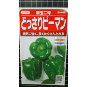 ǂ s[} ʓ  q TJ^̃^l