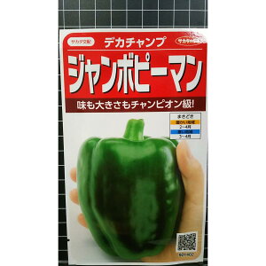 W{ s[} fJ`v  q TJ^̃^l