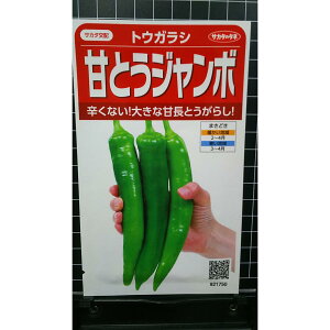 gEKV ÂƂ W{  hq  q TJ^̃^l