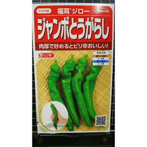 gEKV W{Ƃ炵 W[ hq  q TJ^̃^l