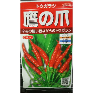 ̒ ^Jmc gEKV hq  q TJ^̃^l