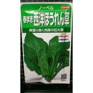 m ق m[x t܂ zE\E  q TJ^̃^l