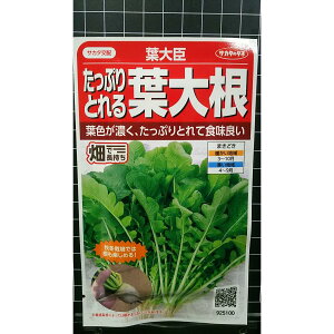 t卪 tb ՂƂ  q TJ^̃^l