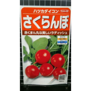 ͂ 卪  ncJ 20 _CR fBbV  q TJ^̃^l