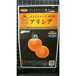 PRO ~jg}g AVA 5 CNXC[c  q TJ^̃^l