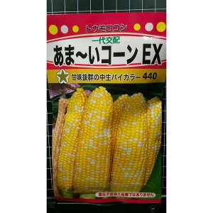 ܁` R[ EX  gERV  q g[zN