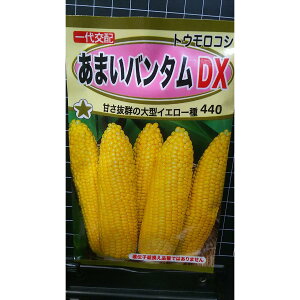 あまい バンタム DX トウモロコシ 種 種子 トーホク